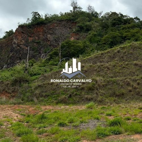 Lote Vale das Hortênsias